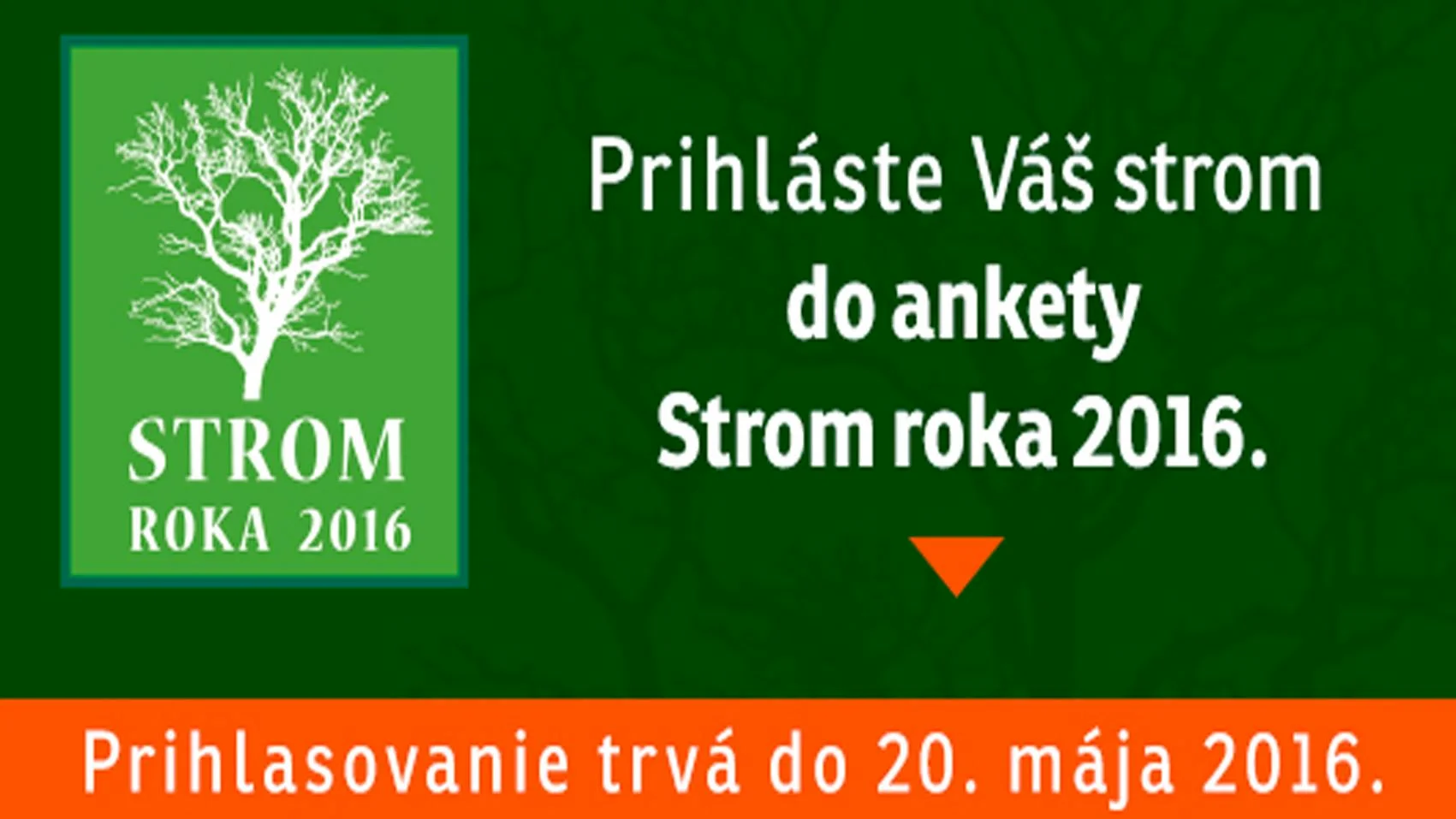 Blíži sa uzávierka nominácií ankety Strom roka