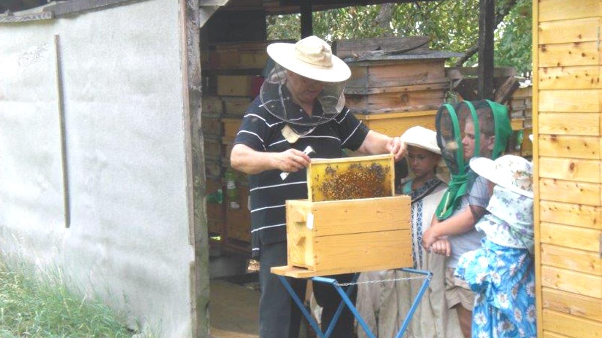 Počas medového dňa budú včelári súťažiť o najlepší med na Ondave