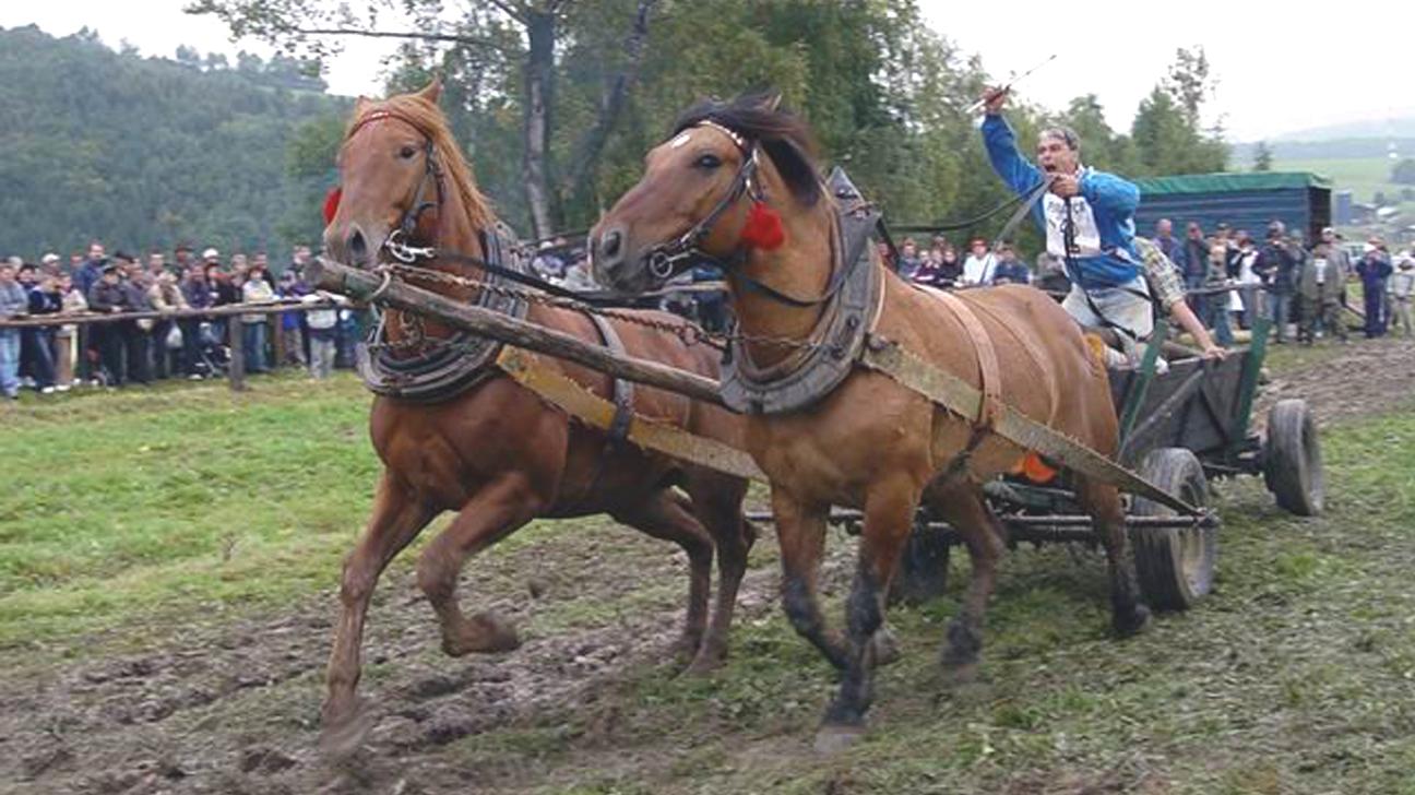 Furmanské preteky absolvuje v tomto roku 12 povozníkov 