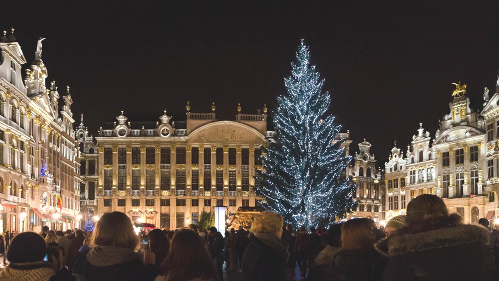 Vianočný stromček v Bruseli bude zo Slovenska 