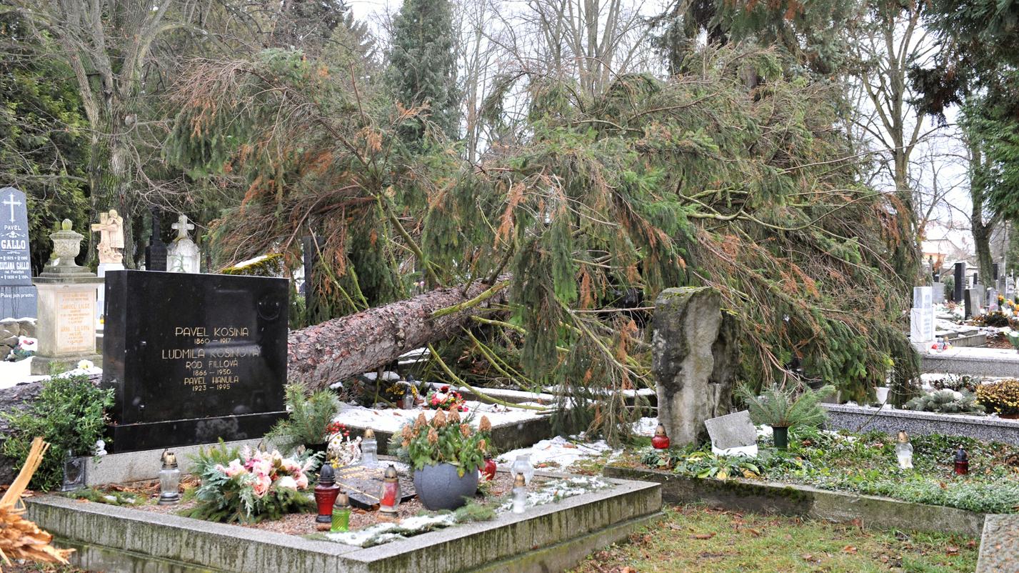 Národný cintorín zasiahla veterná smršť, poškodených je do 60 hrobov