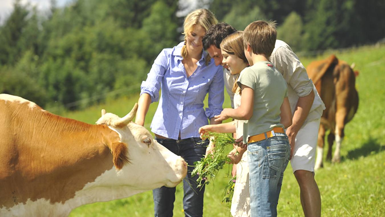 Pozvánka na seminár o vidieckom cestovnom ruchu a agroturistike