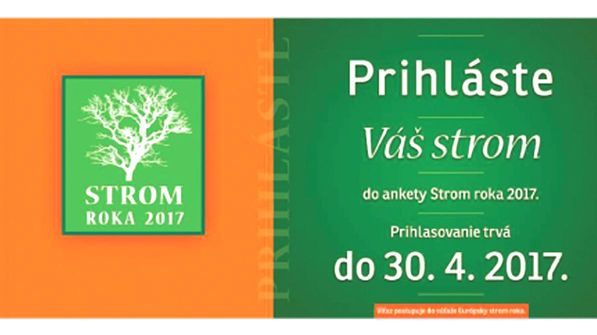 Nadácia Ekopolis odštartovala jubilejný 15. ročník ankety Strom roka