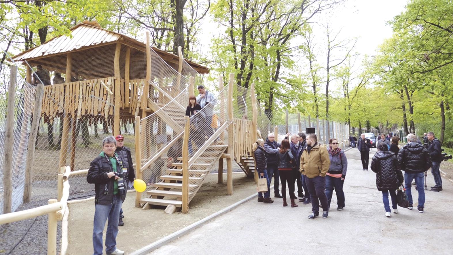 Bratislavská zoo má nový výbeh pre vlky 