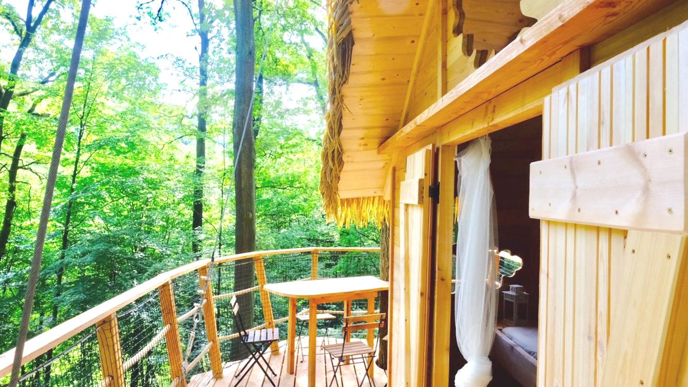 Hlavné mesto spolu s Mestskými lesmi otvorilo už druhý domček na strome
