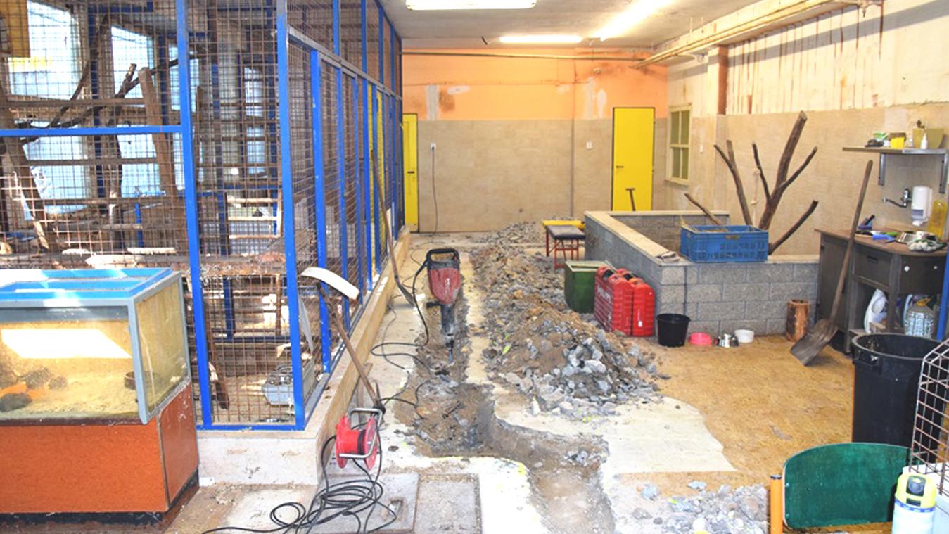 Rekonštrukcia v žilinskej MiniZOO prinesie zvieratám väčší komfort
