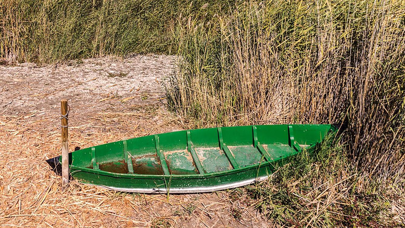 Envirorezort pripravuje Akčný plán boja proti suchu
