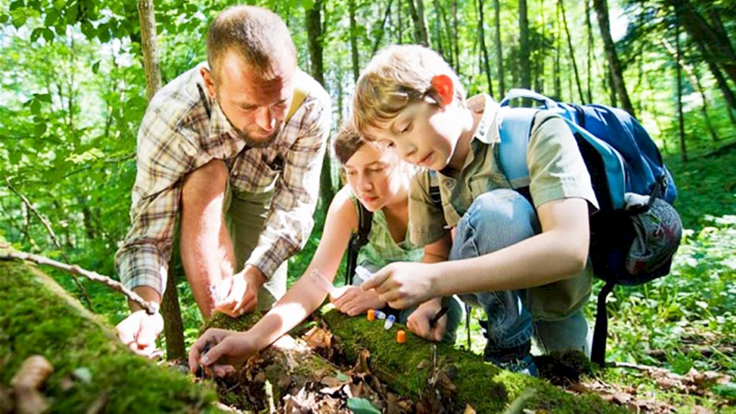 Učitelia sa môžu bezplatne vzdelávať ako učiť envirovýchovu