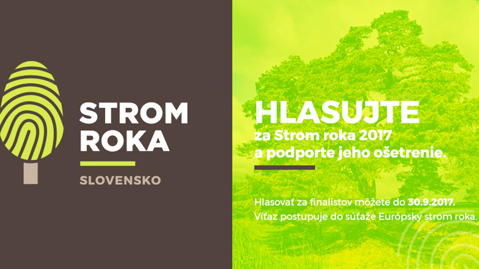O víťazovi ankety môžete rozhodnúť už len pár dní