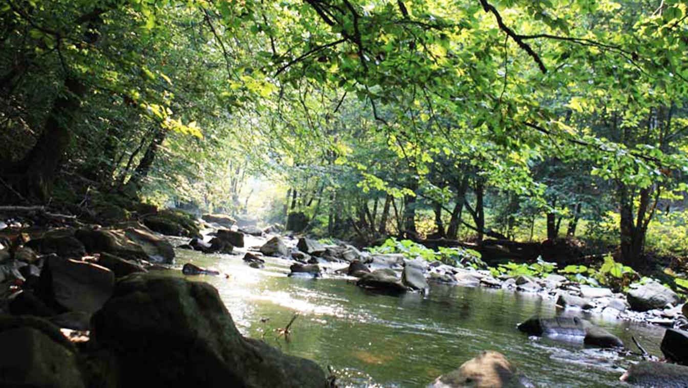 Dobrovoľníci čistili v Poloninách vodné toky i turistický chodník 