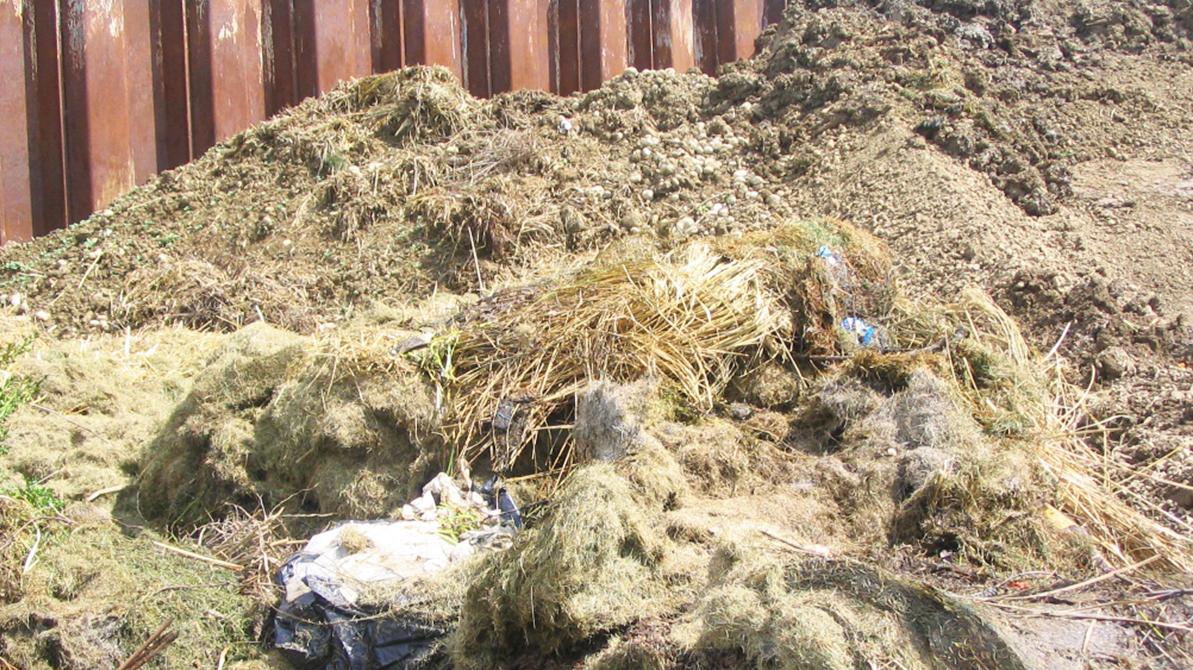 Staré Mesto vyzbieralo vyše 87 ton biologicky rozložiteľného odpadu 