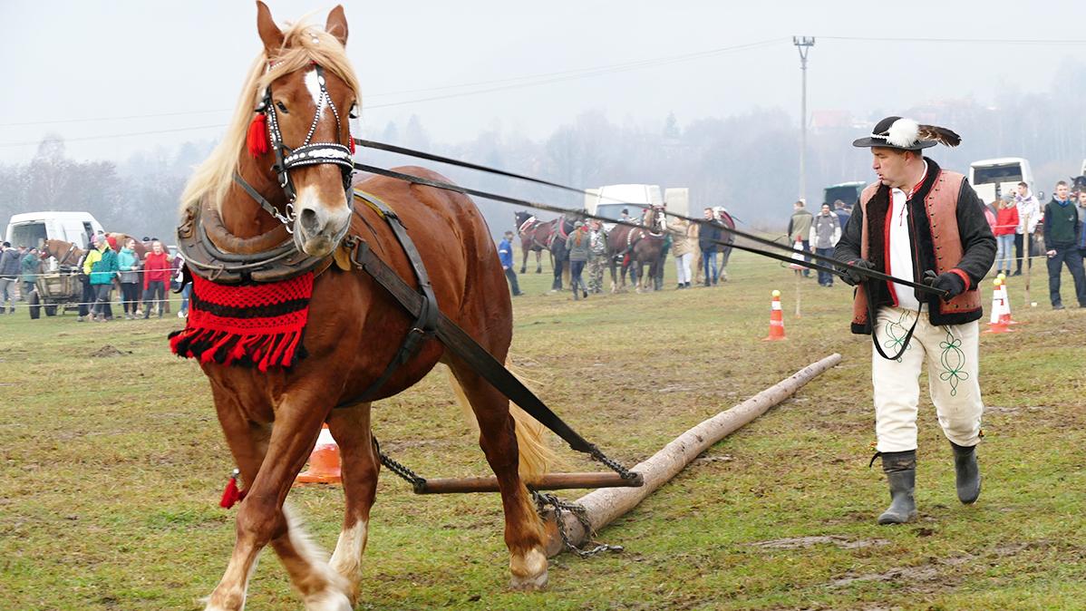Na Kľačianskej podkove súťažili s chlapmi aj tri furmanky 