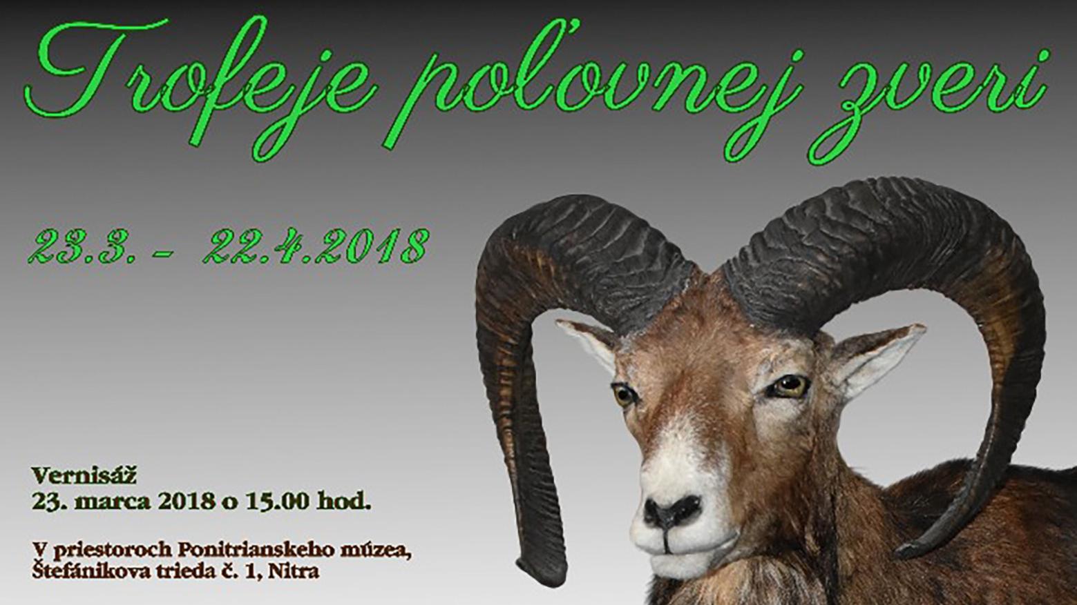 Trofeje poľovnej zveri v Ponitrianskom múzeu v Nitre 