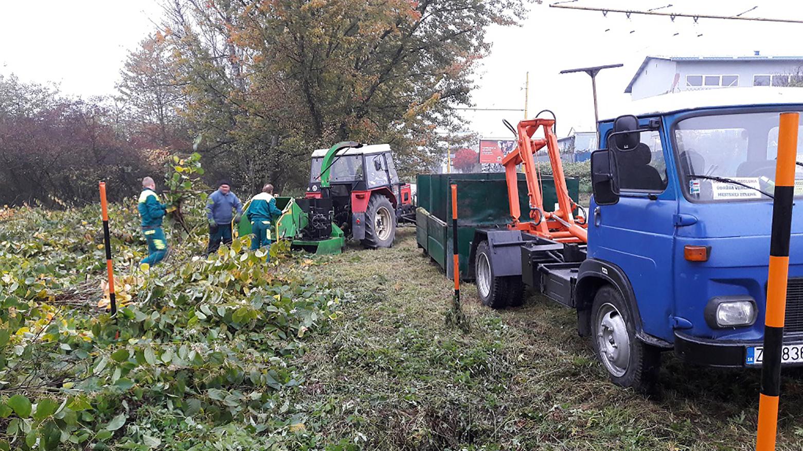 Diviačí problém sužuje Žilinu dlhodobo. Mestské zastupiteľstvo hľadá riešenie