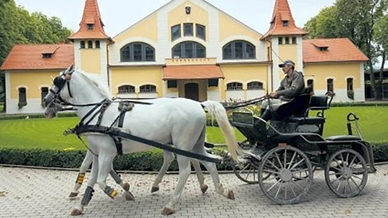 Národný žrebčín ponúka počas sviatkov prehliadky i jazdu na koči  