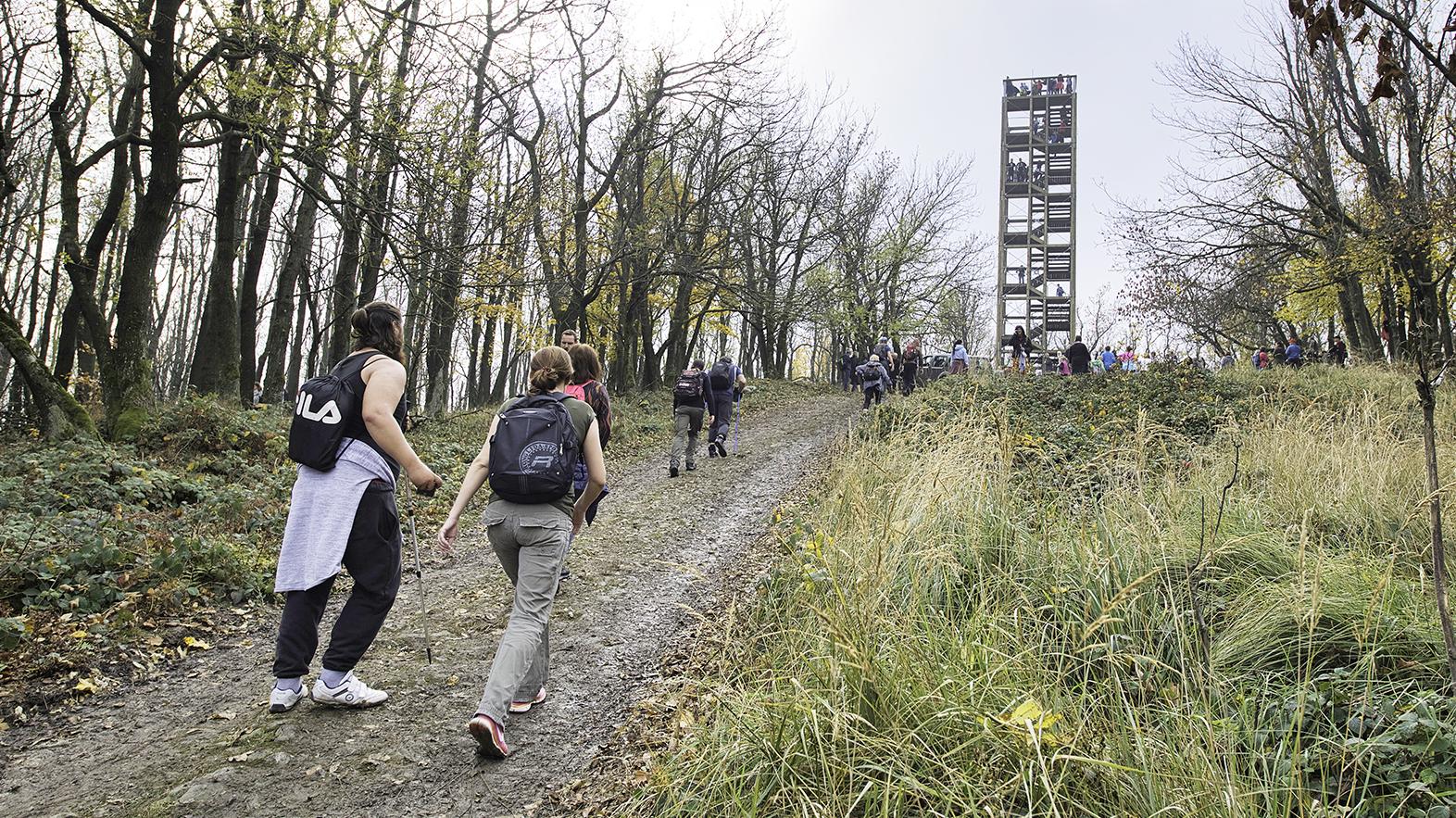 Sprístupnili novú rozhľadňu na vrchu Veľká Homoľa pri Modre 