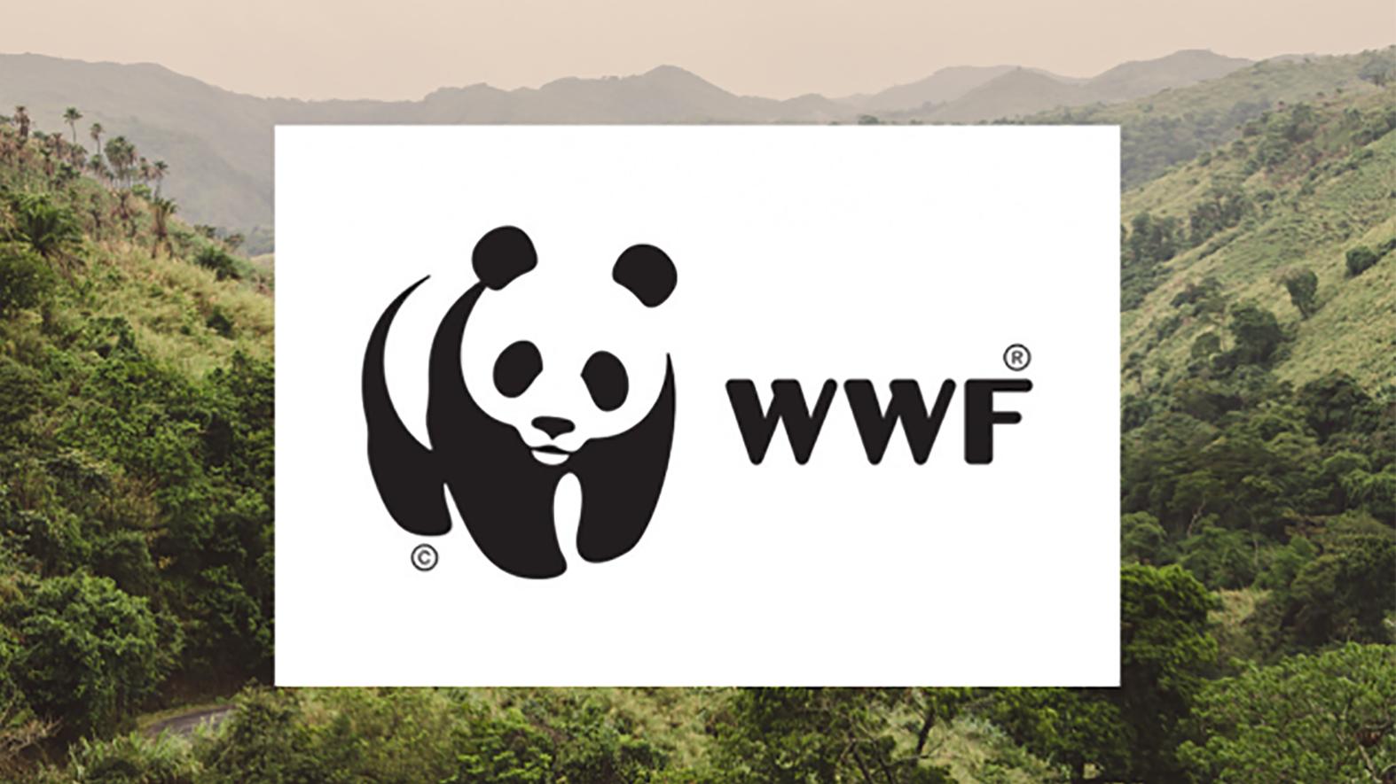 Plastového odpadu v prírode pribúda, WWF vyzýva vlády na zmenu 