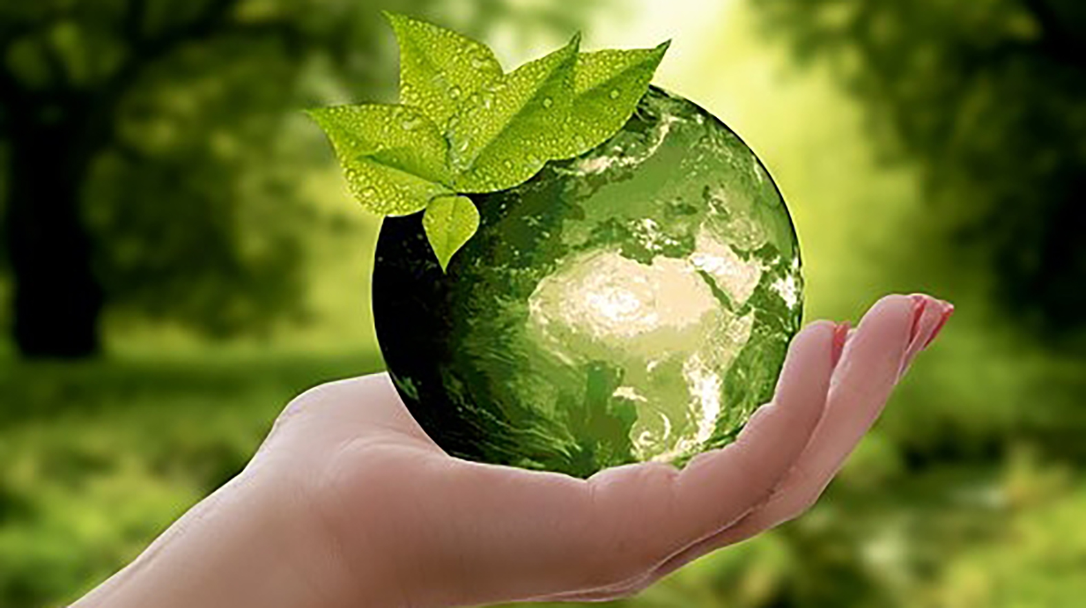Zapoj sa do fotografickej súťaže ENVIROSPEKTRUM 2019