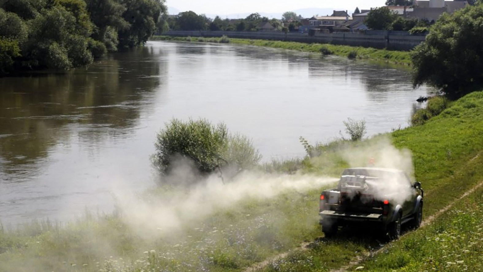 Aj obyvateľov Záhoria i Bratislavy trápia komáre, žiadajú kraj situáciu riešiť 