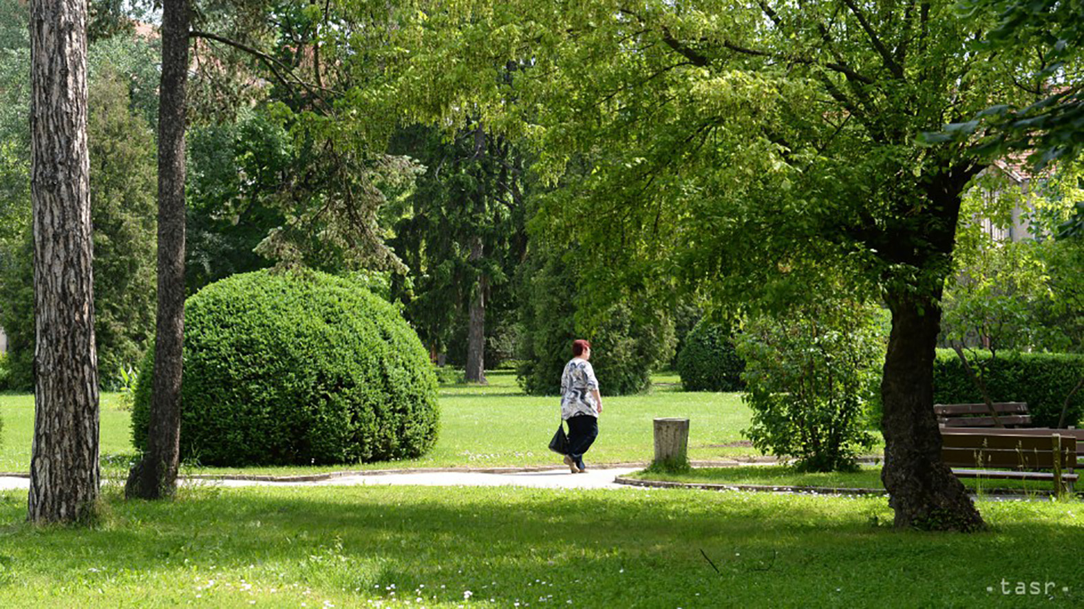 Zamestnanci MsÚ budú úradovať v parku, chcú byť bližšie k ľuďom 
