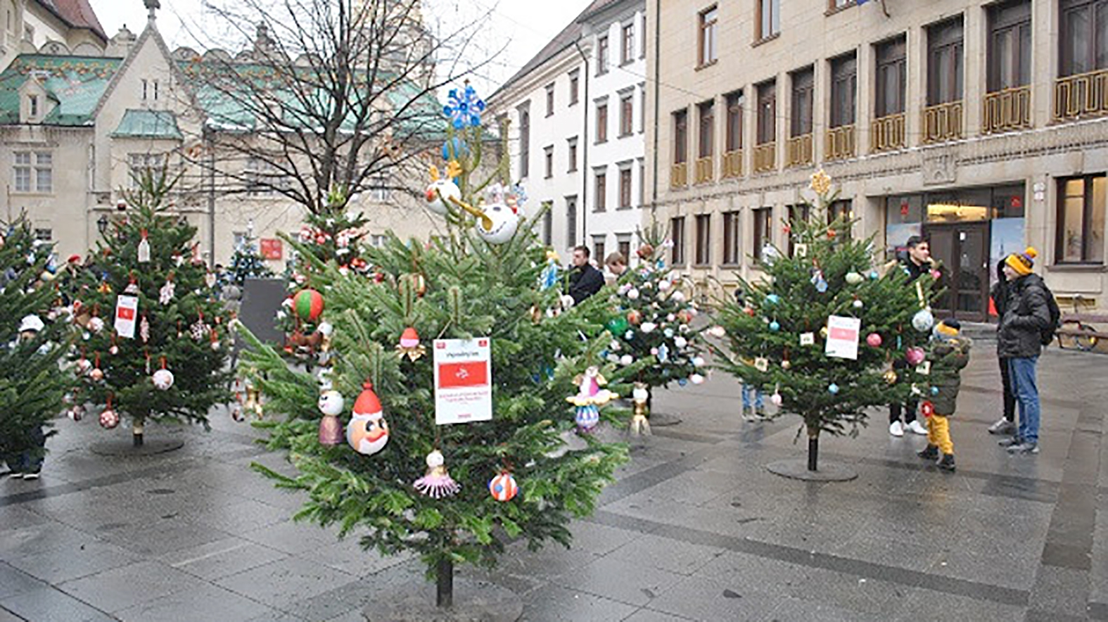 Stromčeky z Vianočného lesa našli svoje domovy 