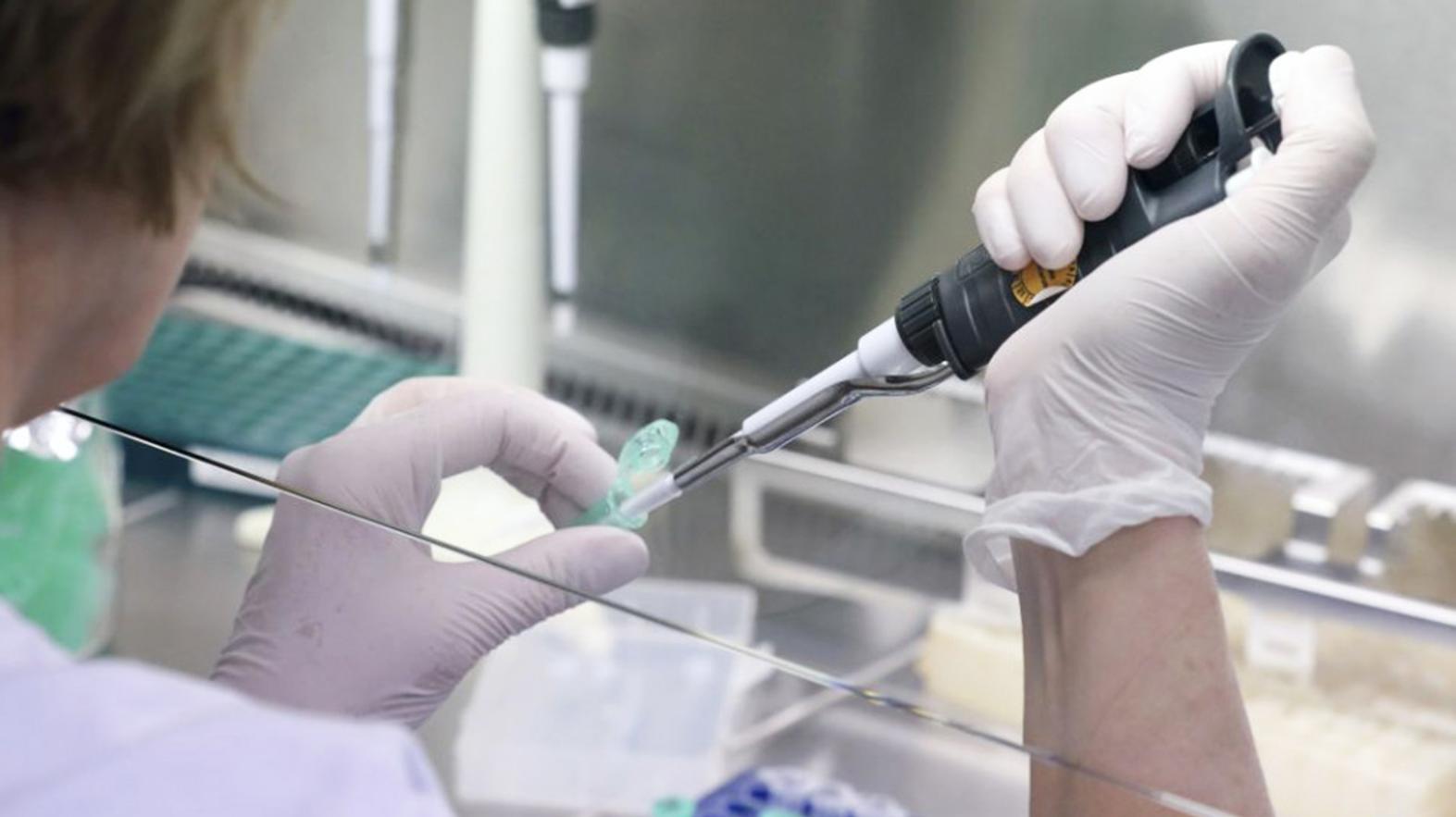 V Moldave nad Bodvou budú testovať kolektívnu imunitu