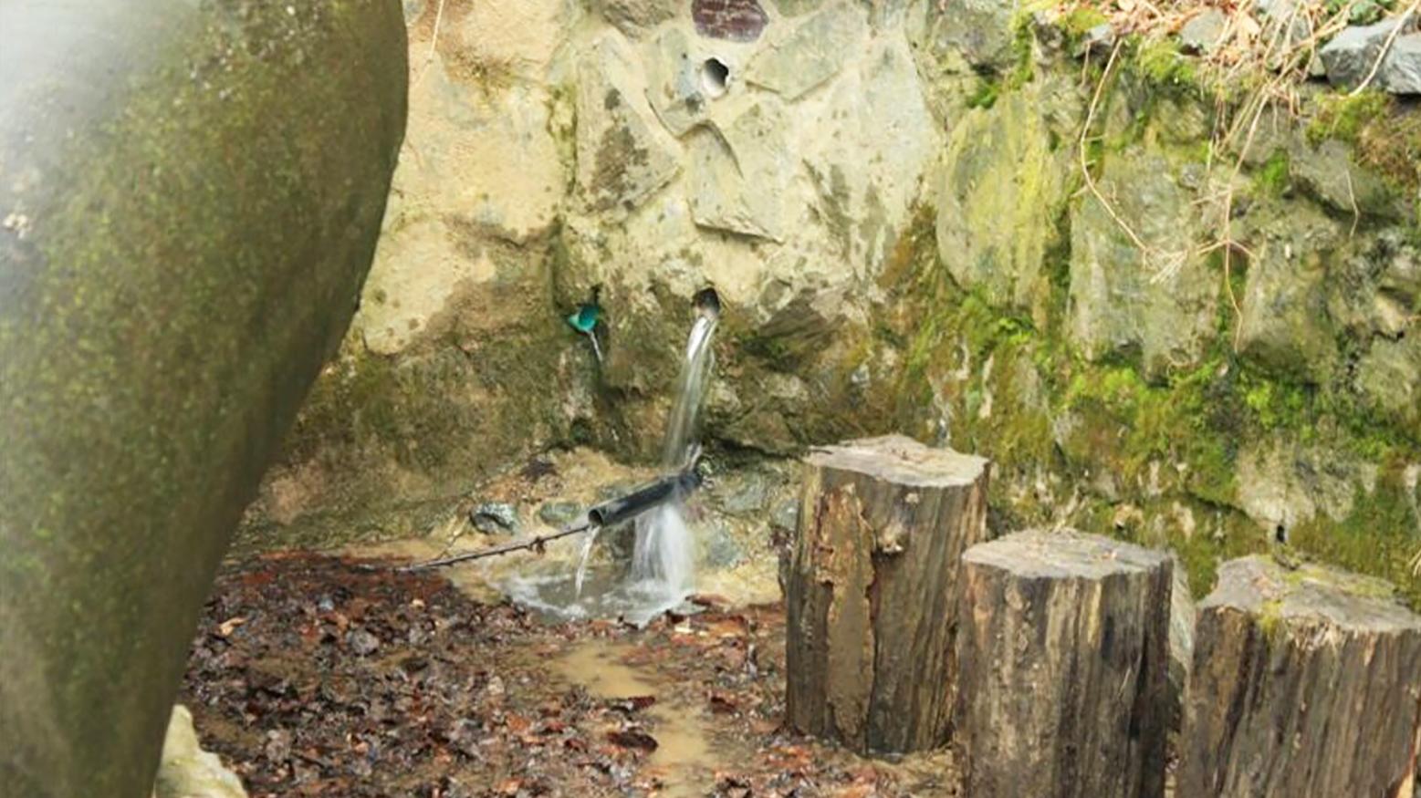 Dobrovoľníci začali s obnovou Kráľovskej studničky pod Pajštúnom