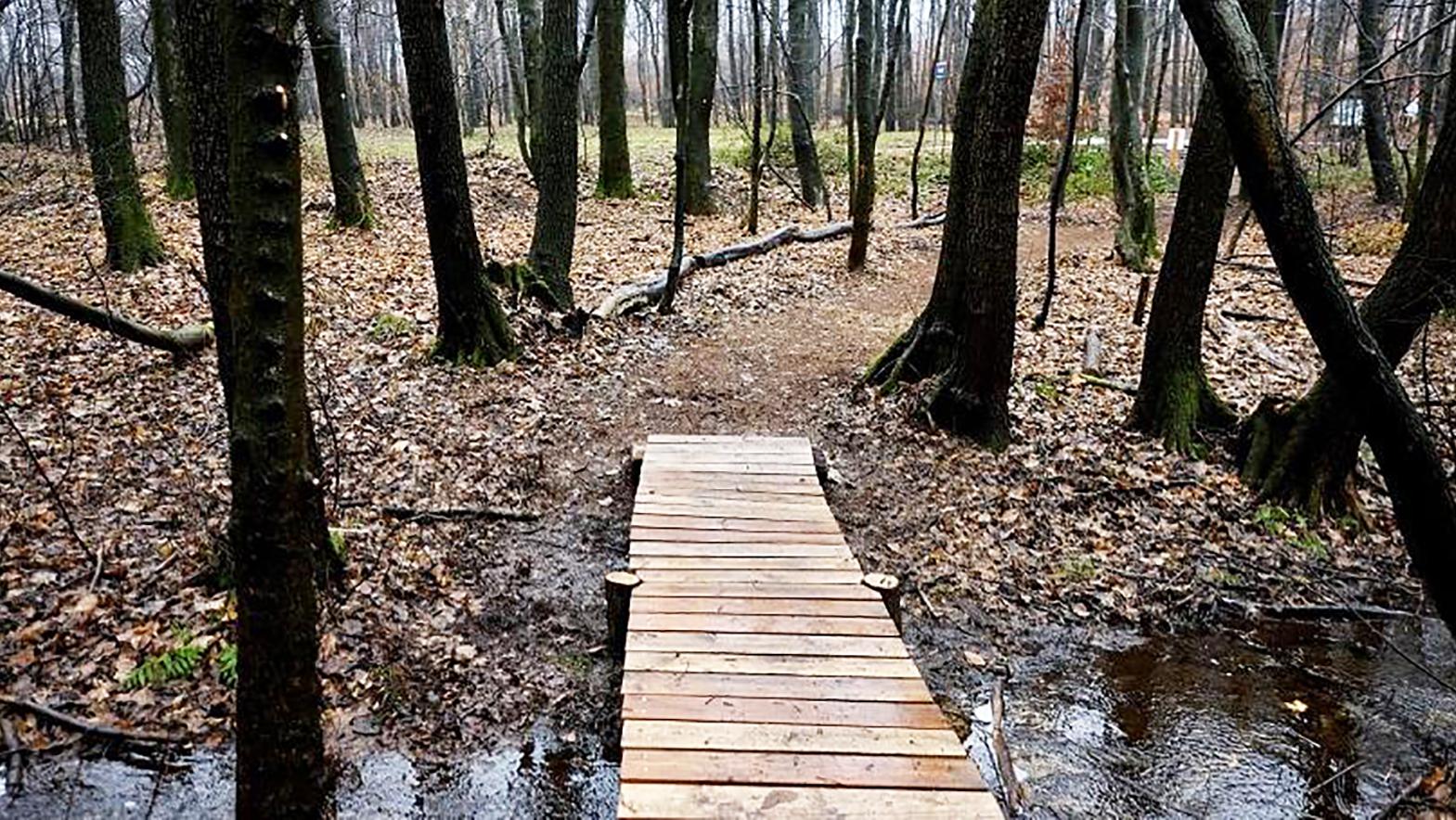 V mestských lesoch sprístupnili novú turistickú a bežeckú trasu