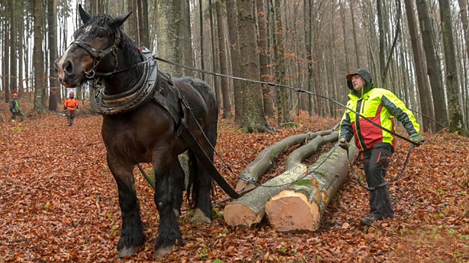 Odmietame vývoj, v ktorom sa slovenský vidiek postupne stáva skanzenom!