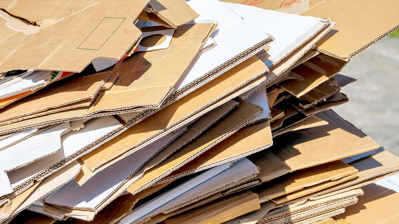 Seriál: Ako triedime (pripravujeme k recyklácii) papier?