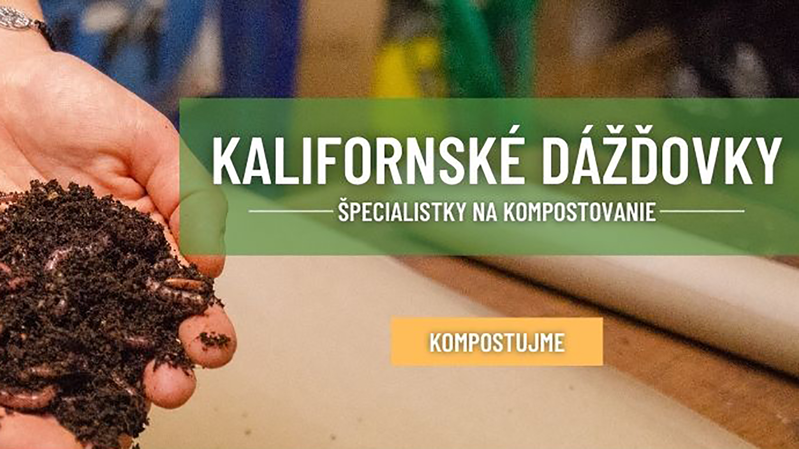 Na miestnom úrade v Karlovej Vsi kompostujú kalifornské dážďovky