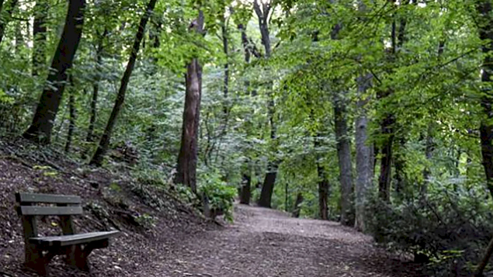 V Bratislave vysadili cez víkend 10-tis.sadeníc, centrom sadenia bol Horský park