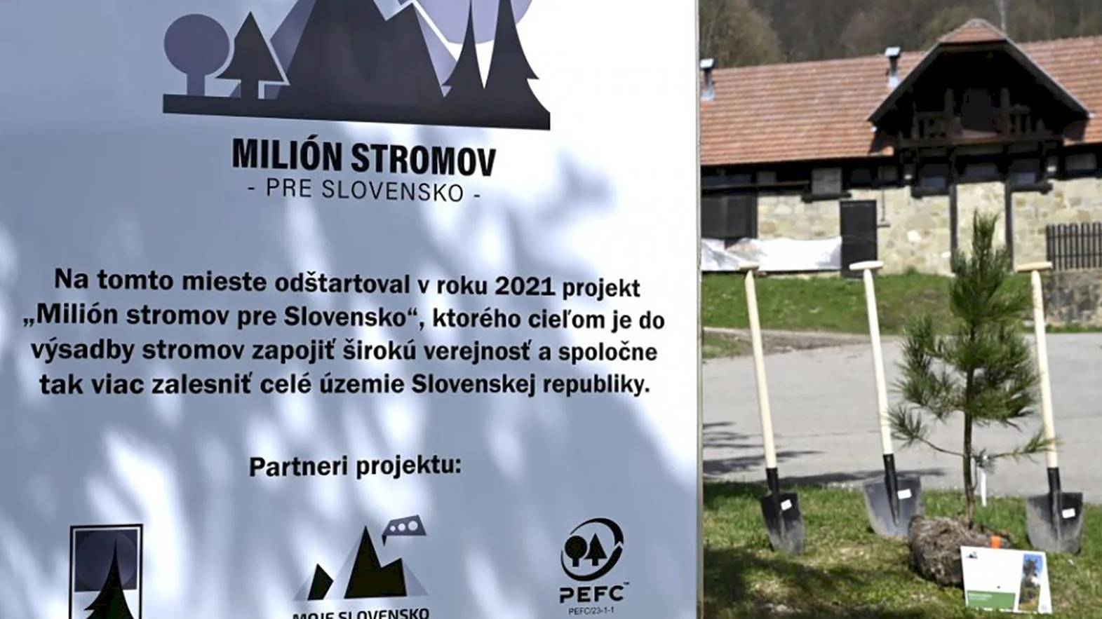 V projekte Milión stromov pre Slovensko vysadili viac ako 50 000 stromov