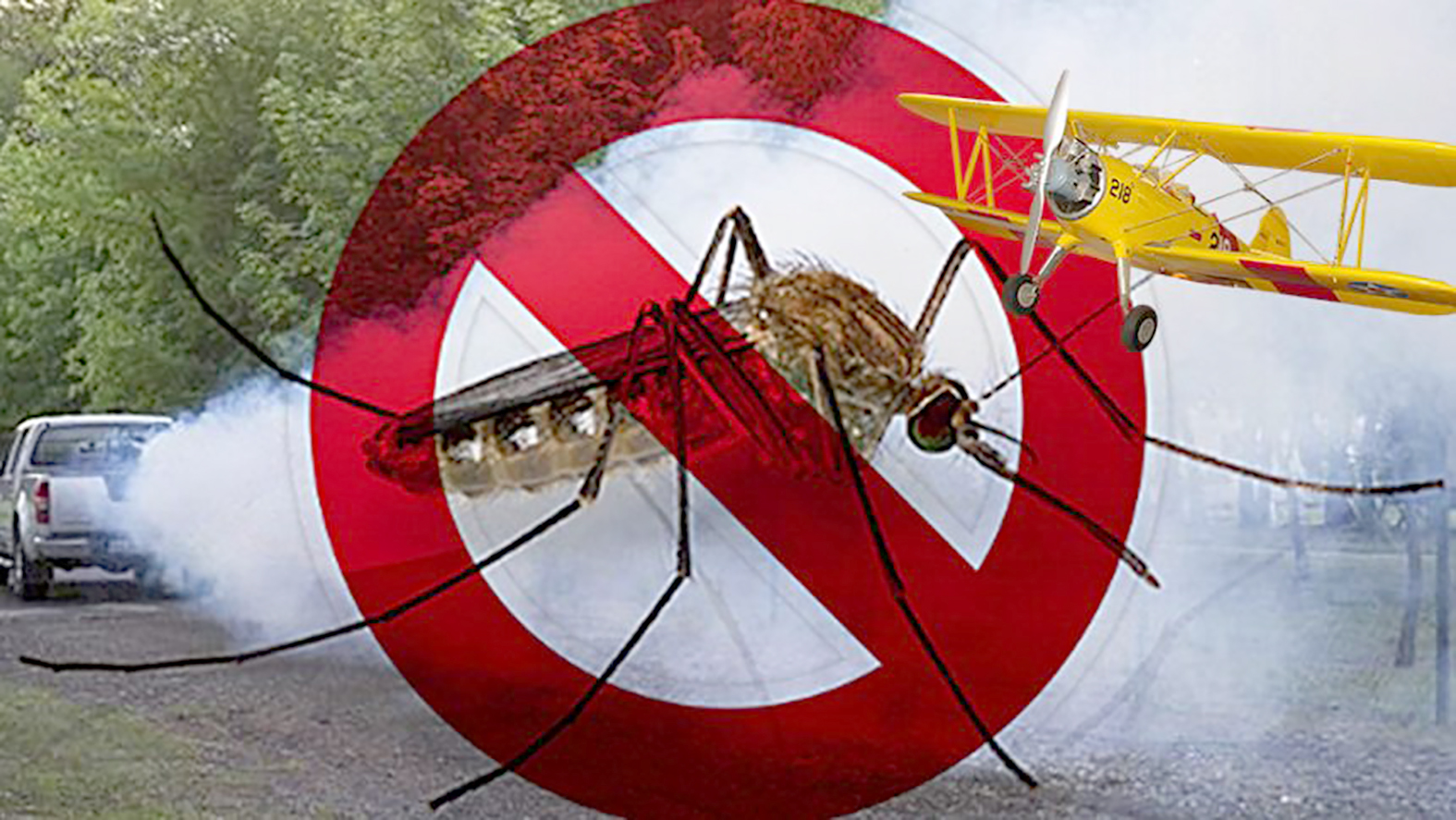Bratislava už musela zasiahnuť proti komárom a aplikovať biologický larvicíd BTI