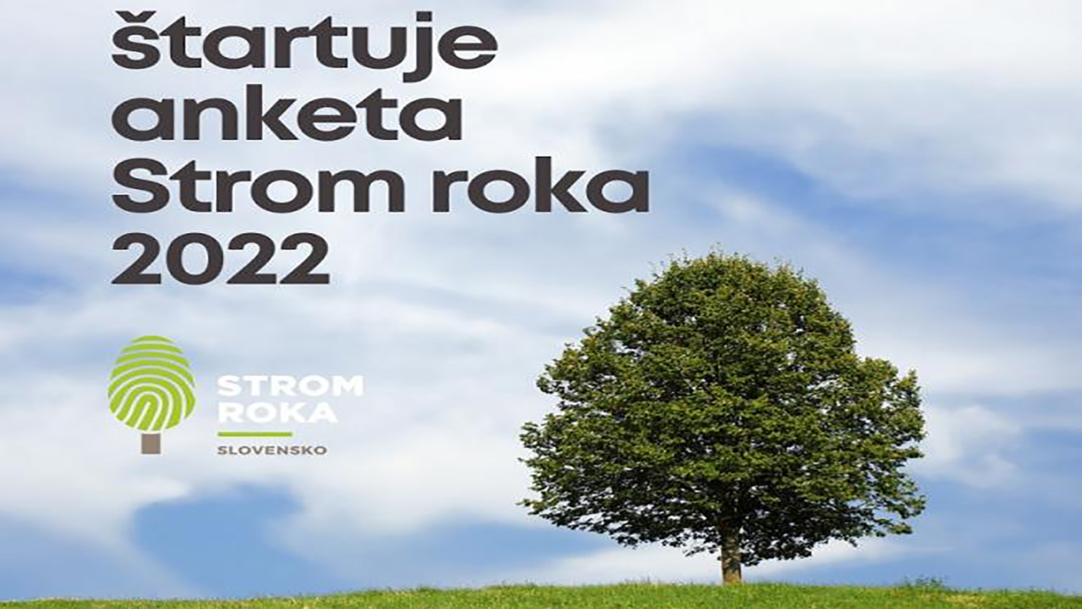 Anketa Strom roka hľadá finalistov 20. ročníka  