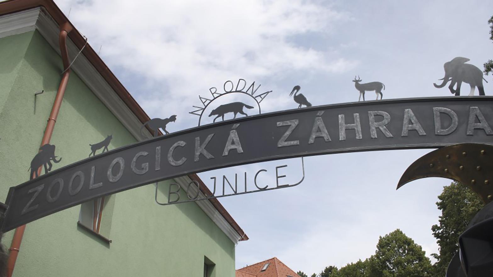 Bojnická zoologická záhrada opäť hľadá najlepšieho mladého zoológa 
