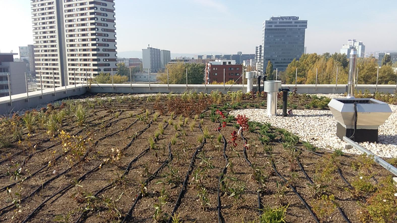 Bratislava je medzi mestami, ktoré sa pousilujú byť klimaticky neutrálne do 2030