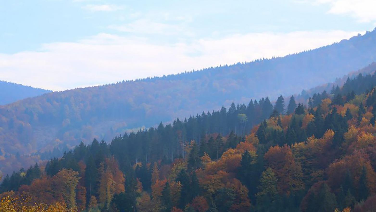  Pod Poľanou pripravili novú koncepciu environmentálnej výchovy
