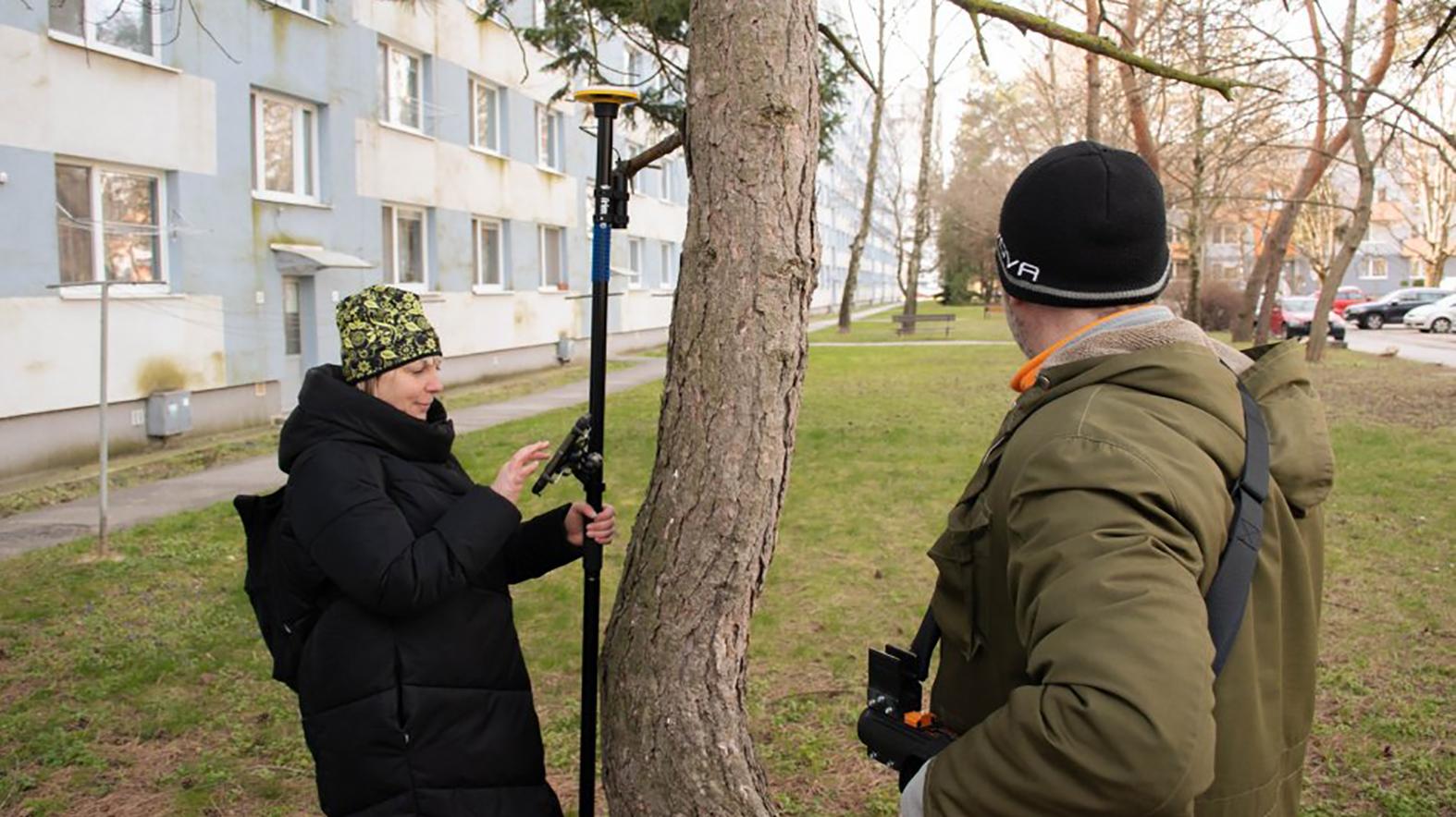 Mesto začalo pracovať na komplexnej evidencii stromov
