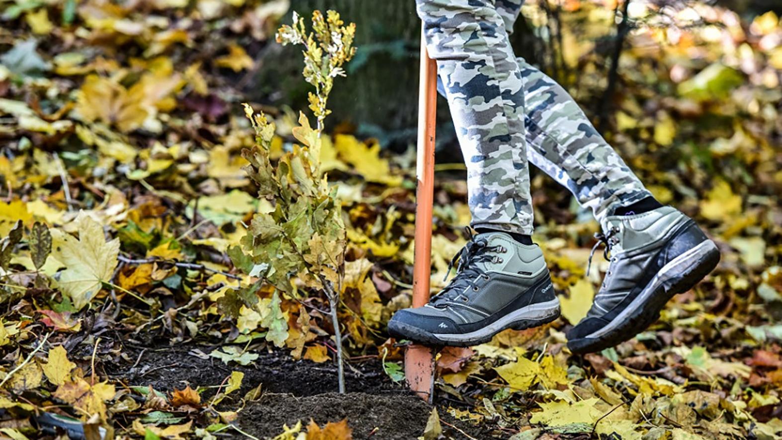 Horúčavy sa mesto snaží zmierňovať aj zelenou a modrou infraštruktúrou