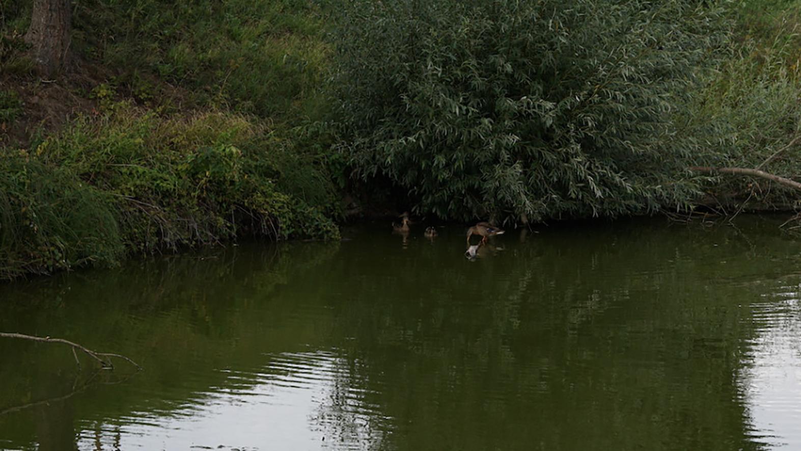 Projekt Živé rieky oživí takmer 350 kilometrov slovenských riek