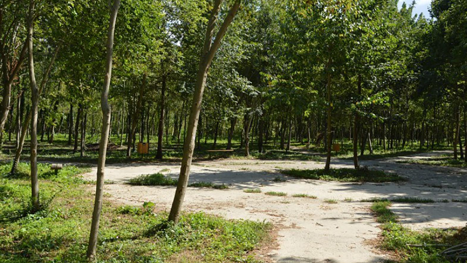 V mestskom lesoparku sa začínajú práce na revitalizácii