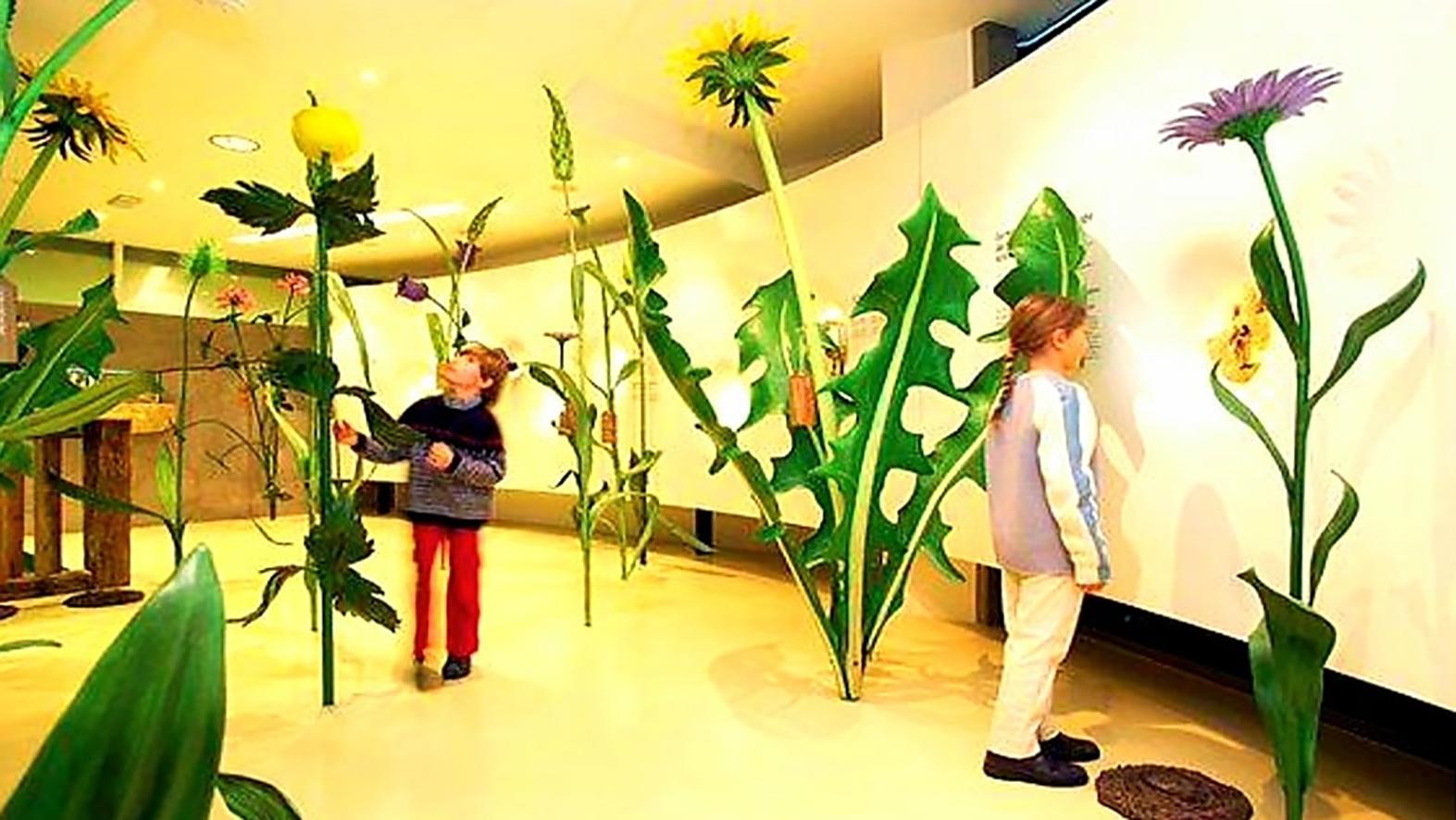 V priestoroch bývalej ZŠ vzniklo Centrum environmentálnej výchovy