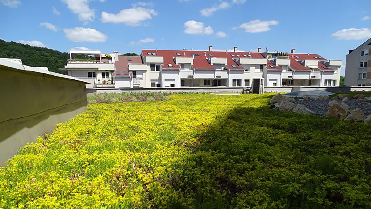 Na budove mestského úradu dokončili vegetačnú zelenú strechu