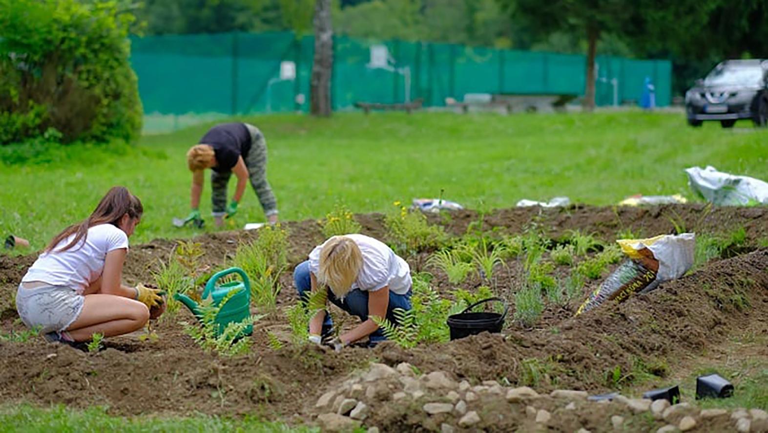 Krajskí dobrovoľníci v lete pracujú na tvorbe dažďových záhrad
