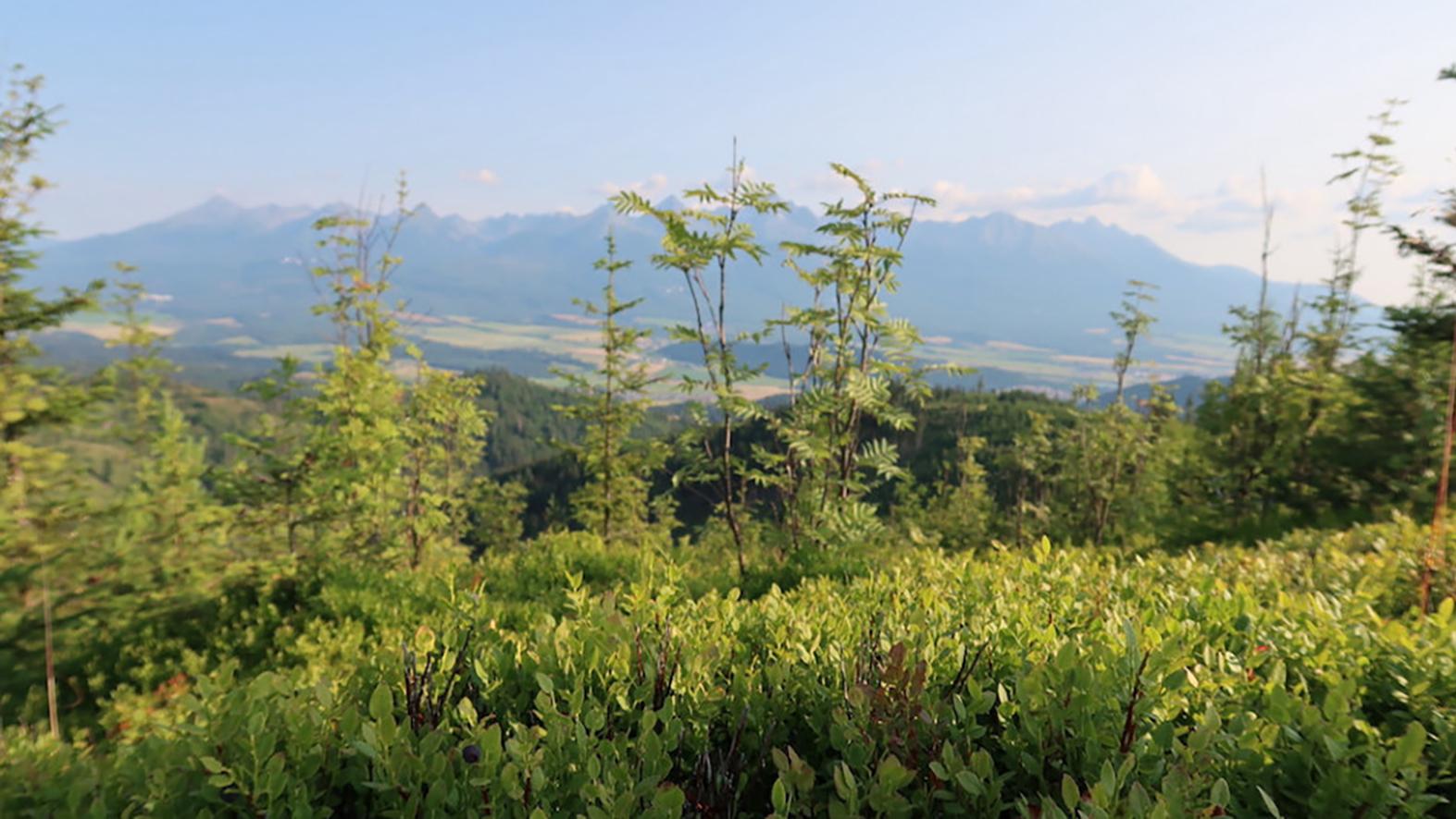 Počet chránených území Natura 2000 by sa mal znížiť zo 739 na 644