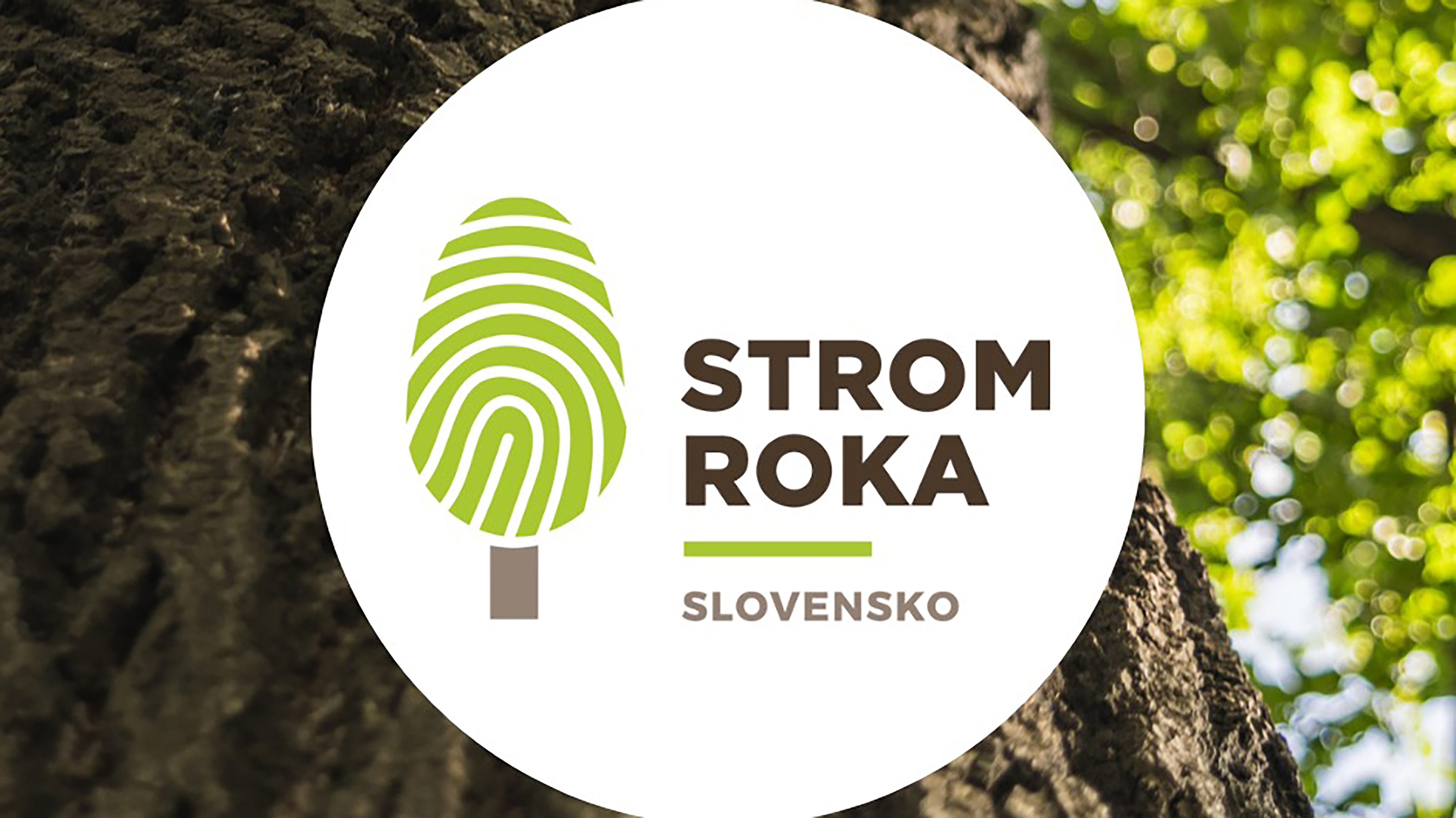 Posledný týždeň hlasovania v ankete Strom roka 2023
