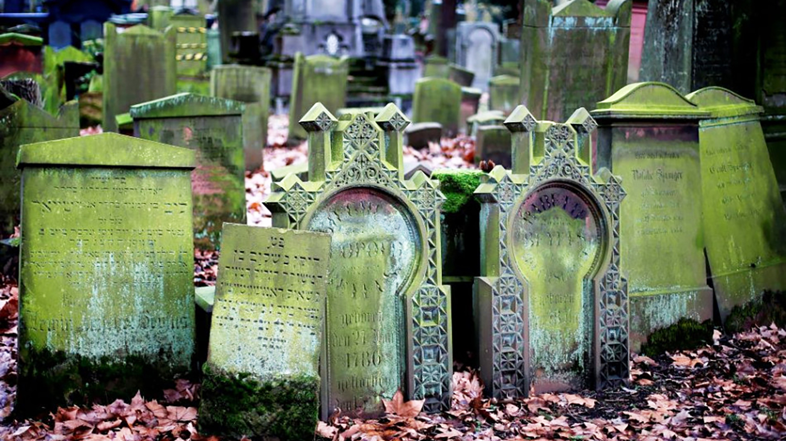 Desiatky skautov vyčistilo židovský cintorín od náletových krov a drevín