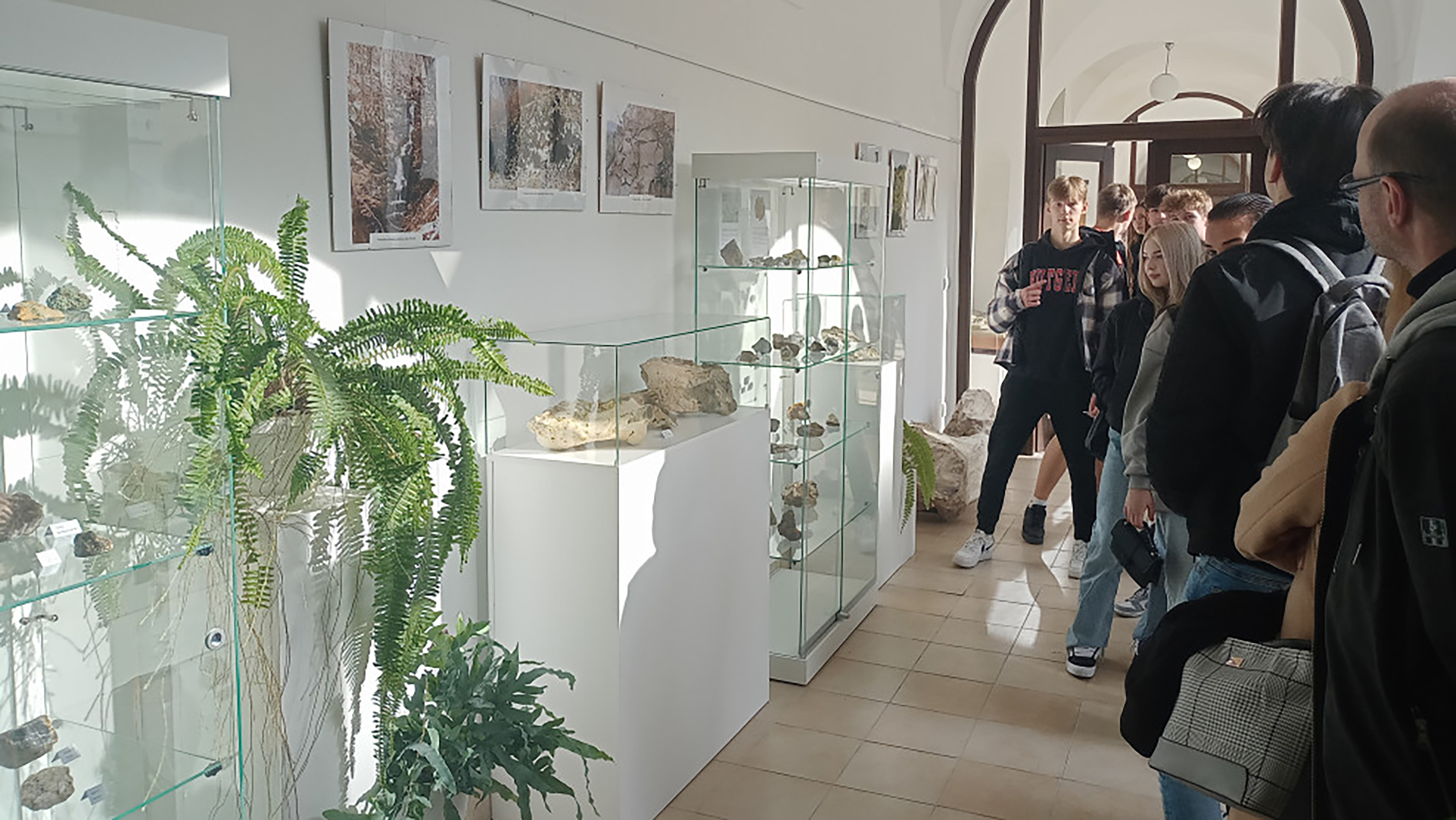 Vo Vihorlatskom múzeu zmodernizovali prírodovednú expozíciu