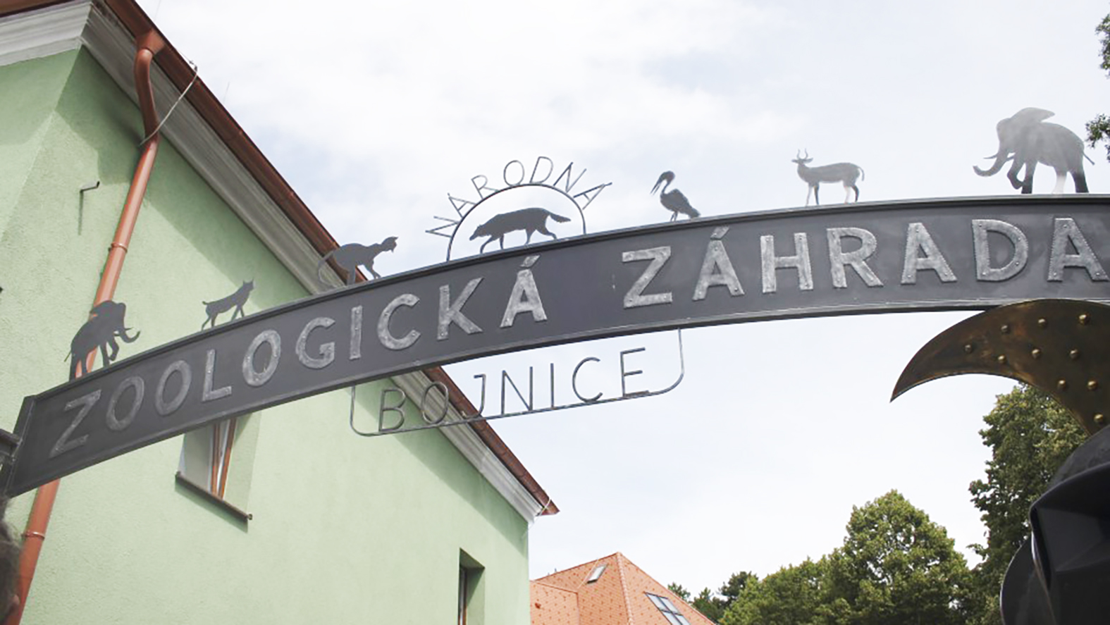 Bojnickú zoo v minulom roku navštívilo viac ako 345-tis. ľudí
